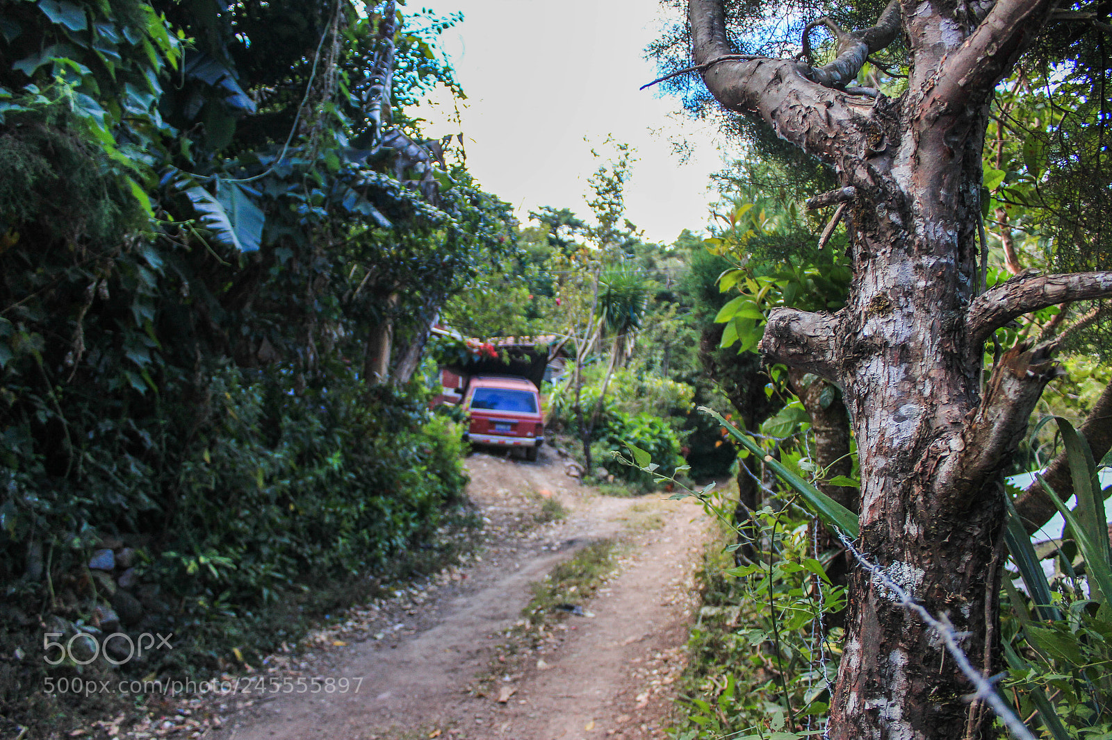 Canon EOS 600D (Rebel EOS T3i / EOS Kiss X5) sample photo. El manzano photography