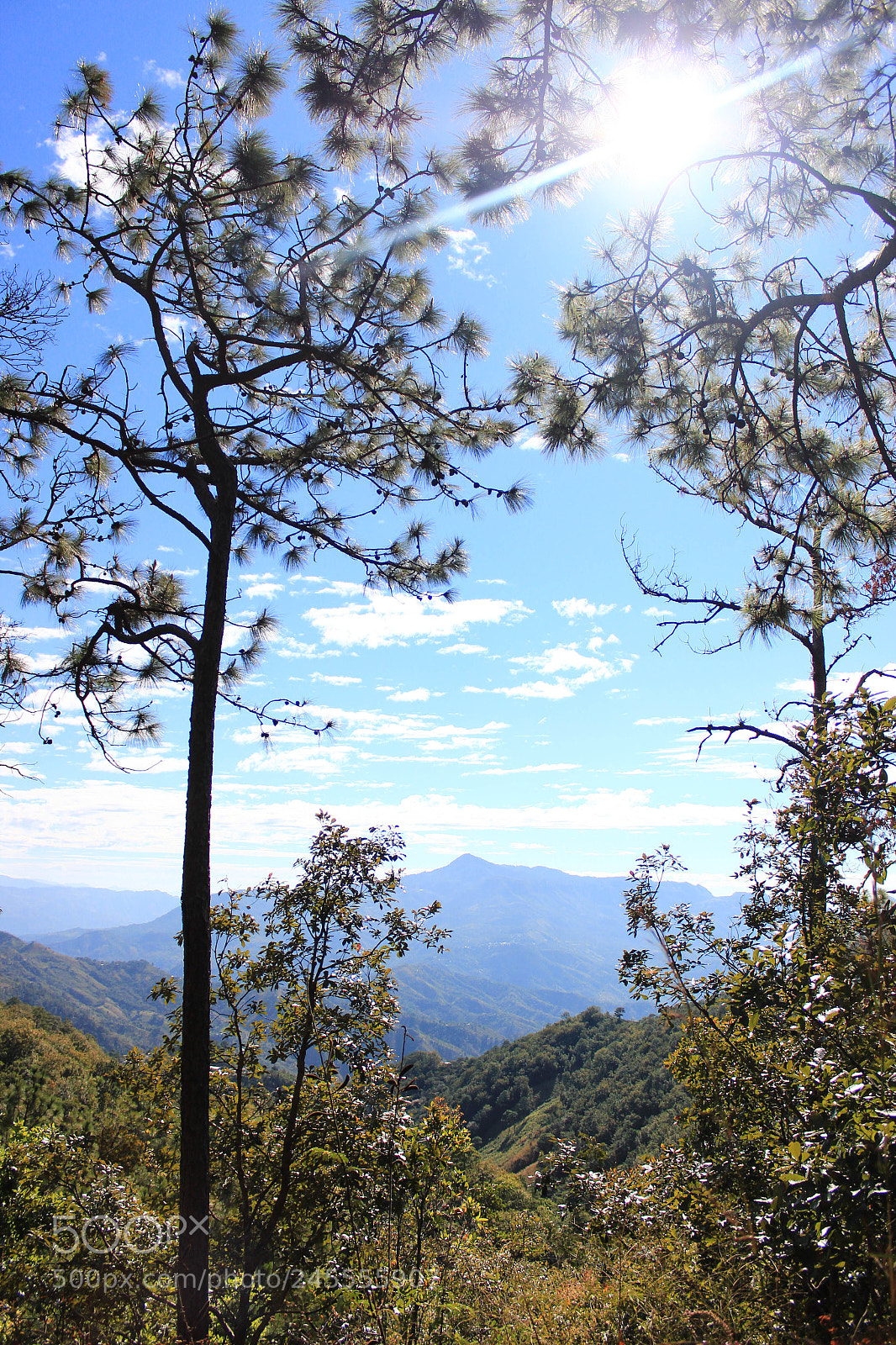 Canon EOS 600D (Rebel EOS T3i / EOS Kiss X5) sample photo. El manzano photography