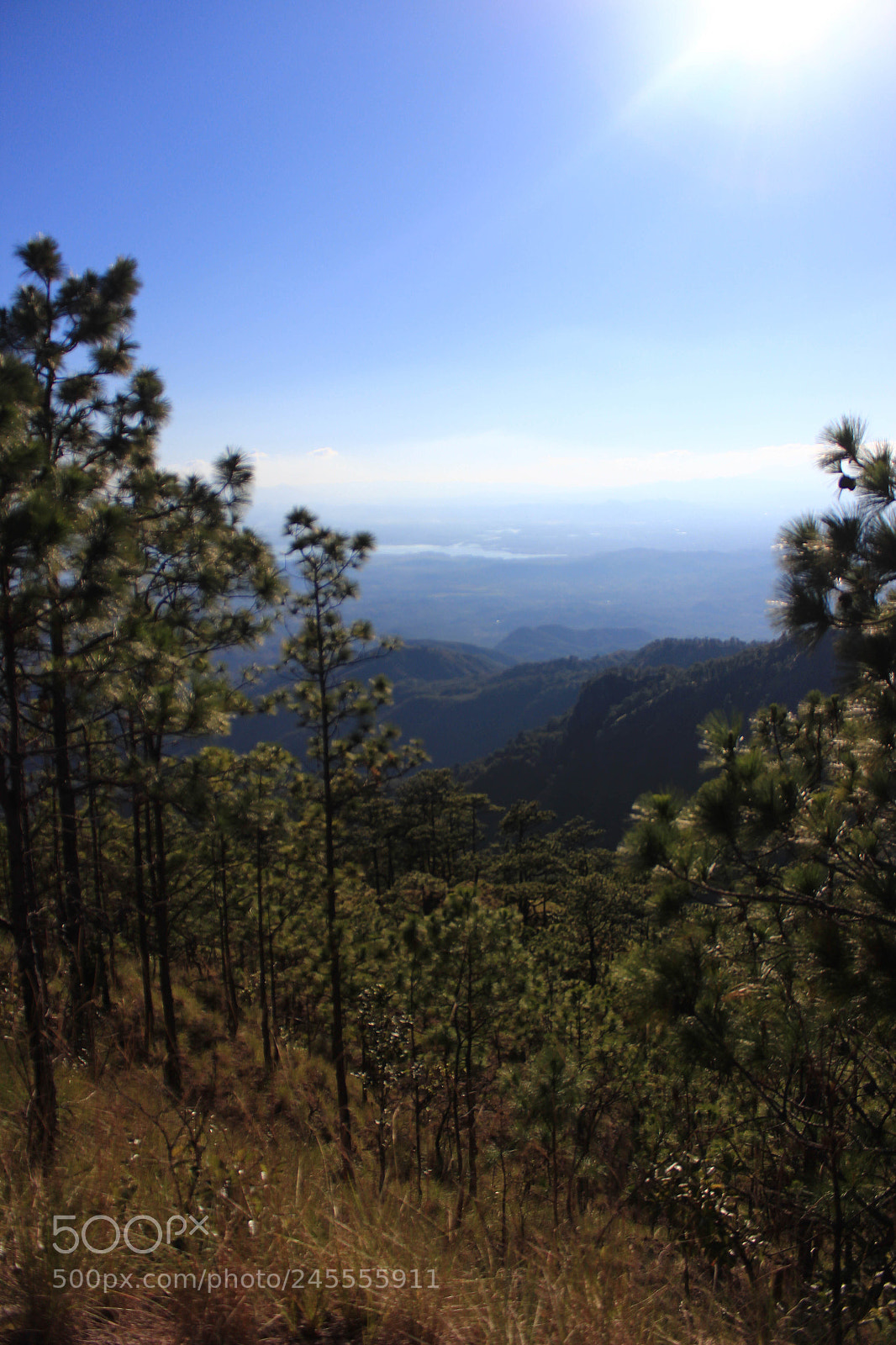 Canon EOS 600D (Rebel EOS T3i / EOS Kiss X5) sample photo. El manzano photography