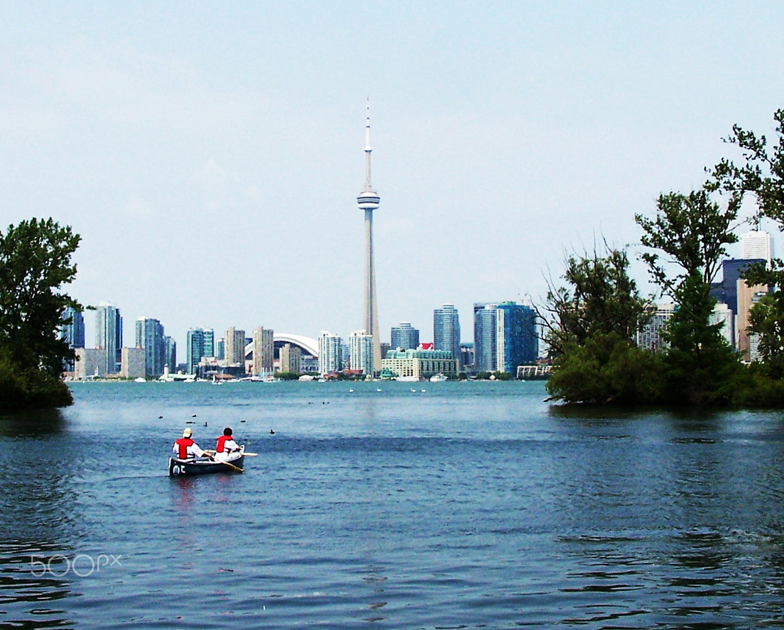 Kodak DX6490 ZOOM DIGITAL CAMERA sample photo. Lake ontario view of toronto cn tower photography