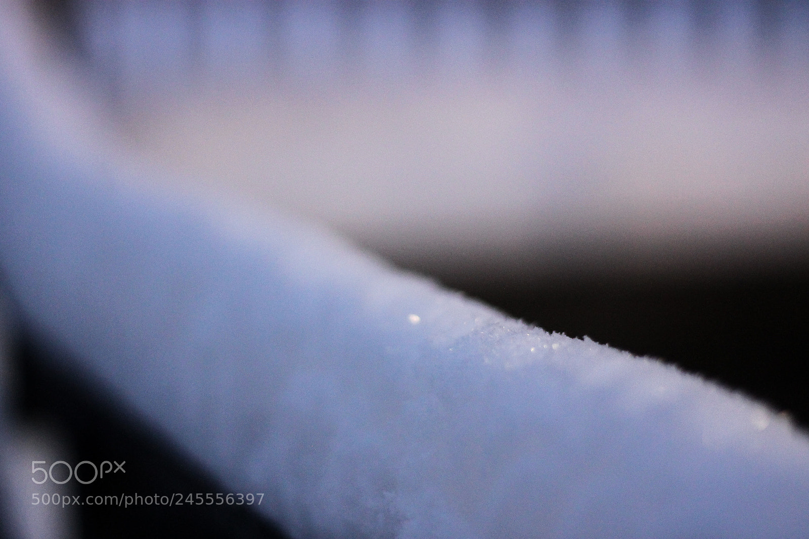 Canon EOS 1100D (EOS Rebel T3 / EOS Kiss X50) sample photo. Fresh snow photography