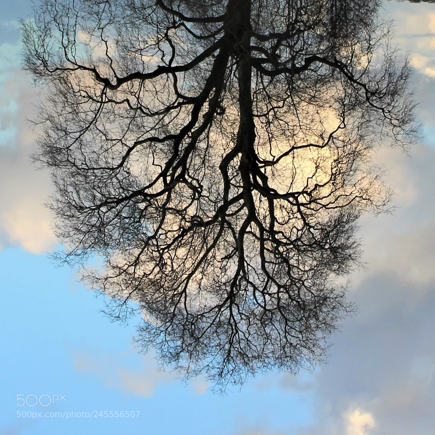 Canon EOS 60D sample photo. Quand le ciel prend photography