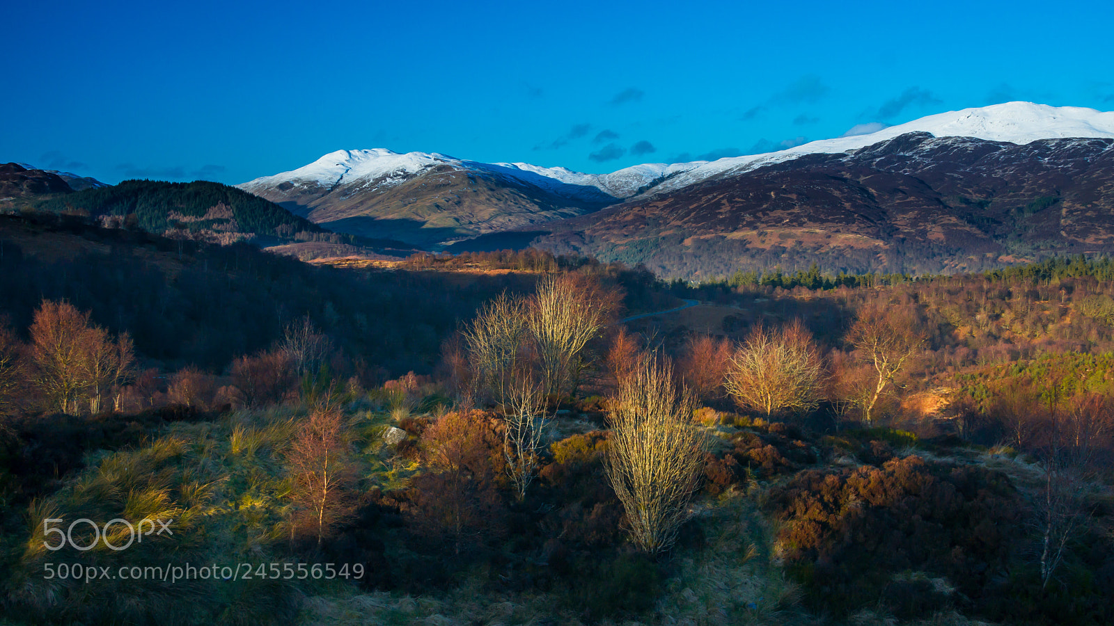 Sony SLT-A77 sample photo. Shot in the trossachs photography
