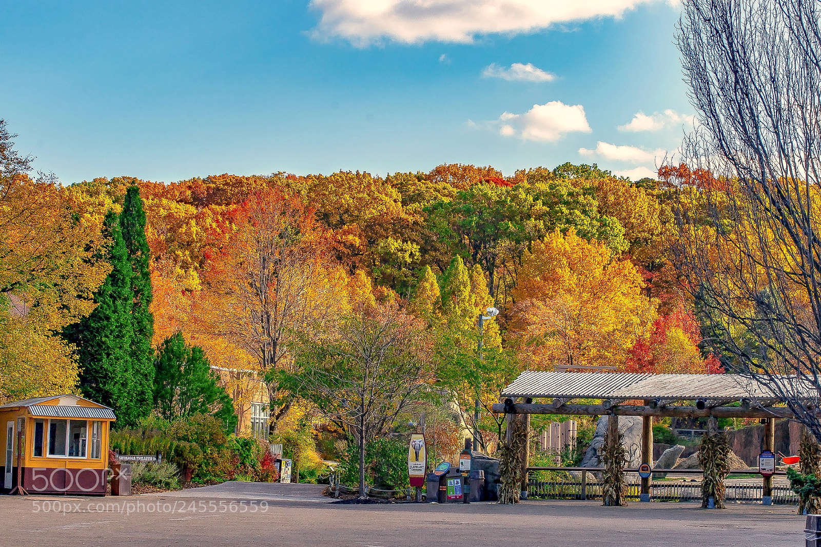 Sony a9 sample photo. Colors of the cleveland photography