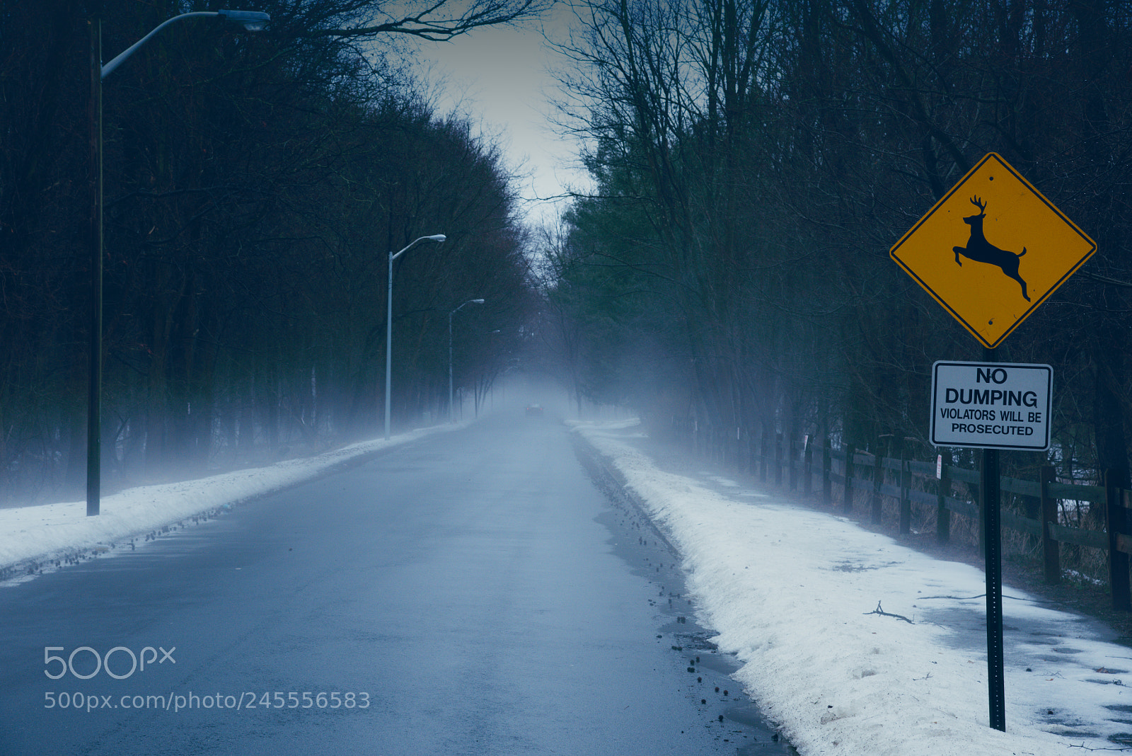 Nikon D810 sample photo. Into the mist photography