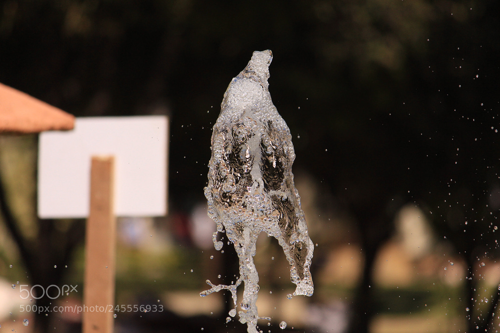 Canon EF-S 55-250mm F4-5.6 IS II sample photo. Water photography