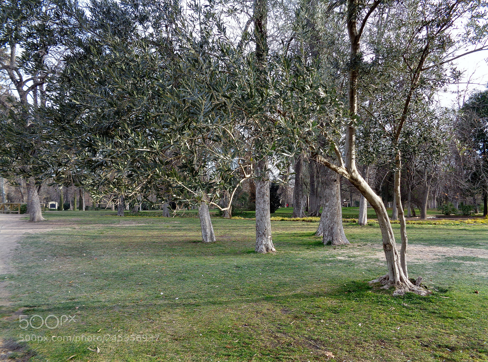 Sony Cyber-shot DSC-W830 sample photo. Jardin photography