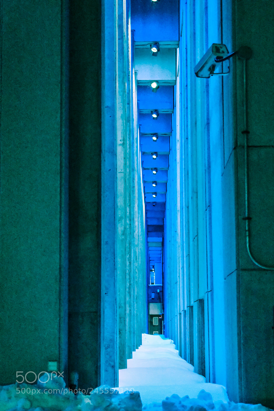 Nikon D3400 sample photo. Blue security photography