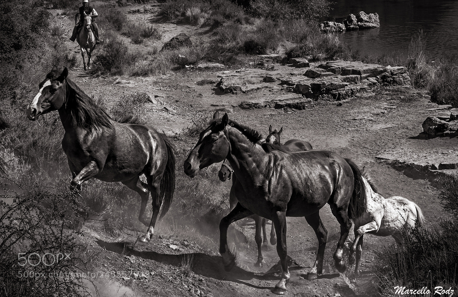 Nikon D610 sample photo. North patagonia iii photography