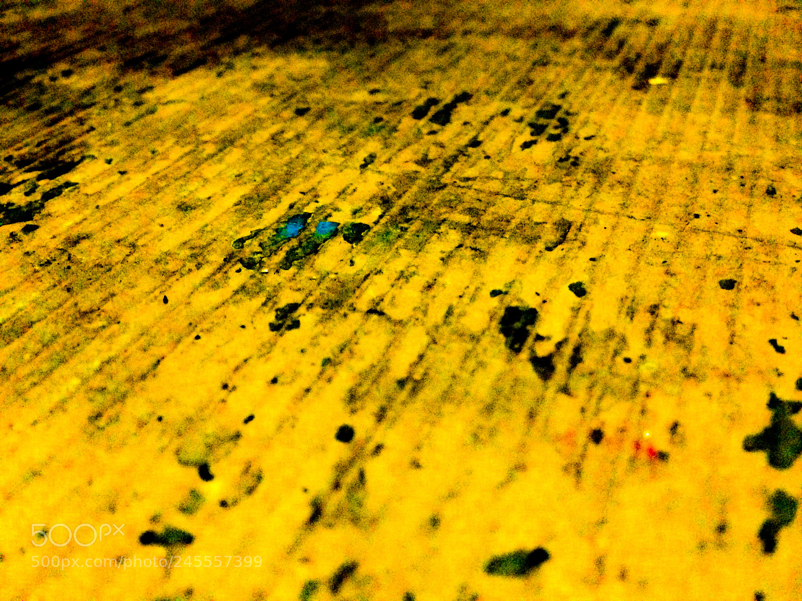 Apple iPhone 5c sample photo. Untitled photography