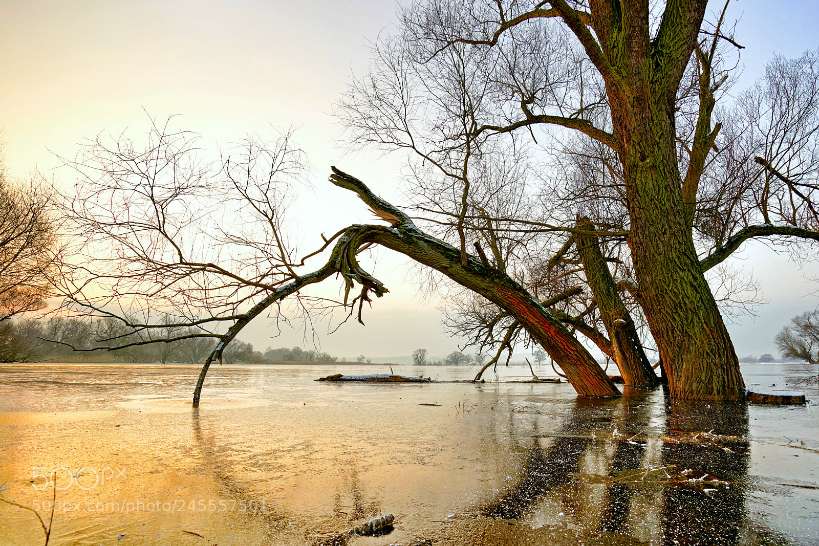 Sony a7R sample photo. Ohne worte photography
