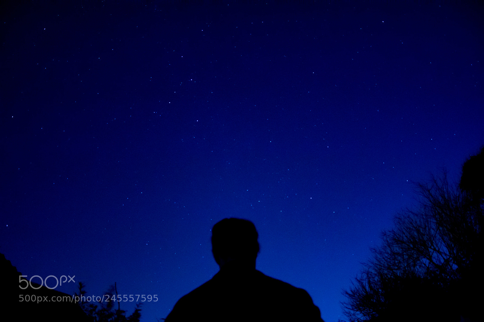 Nikon D7200 sample photo. Night sky silhouette photography