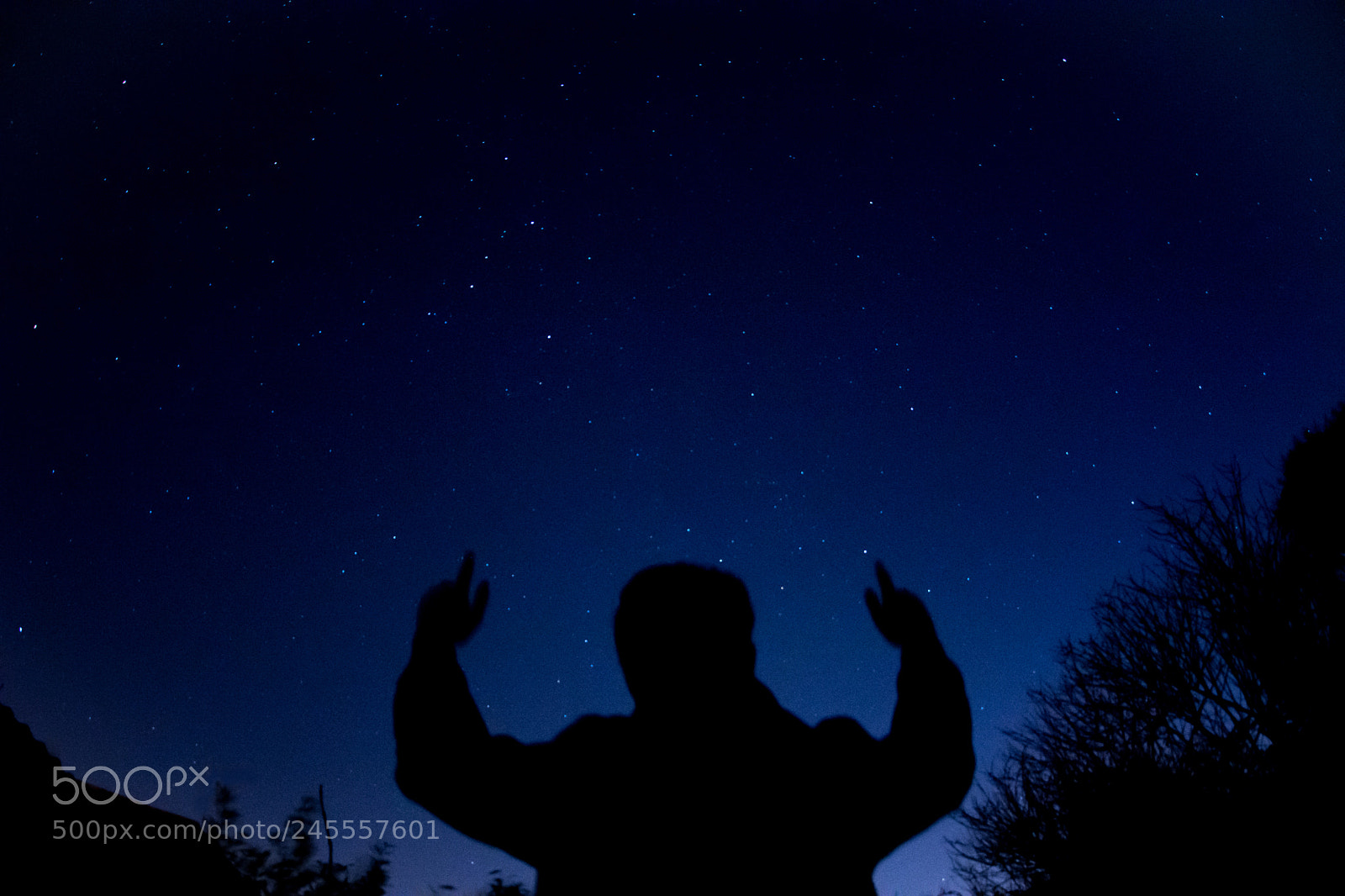 Nikon D7200 sample photo. Night sky silhouette photography