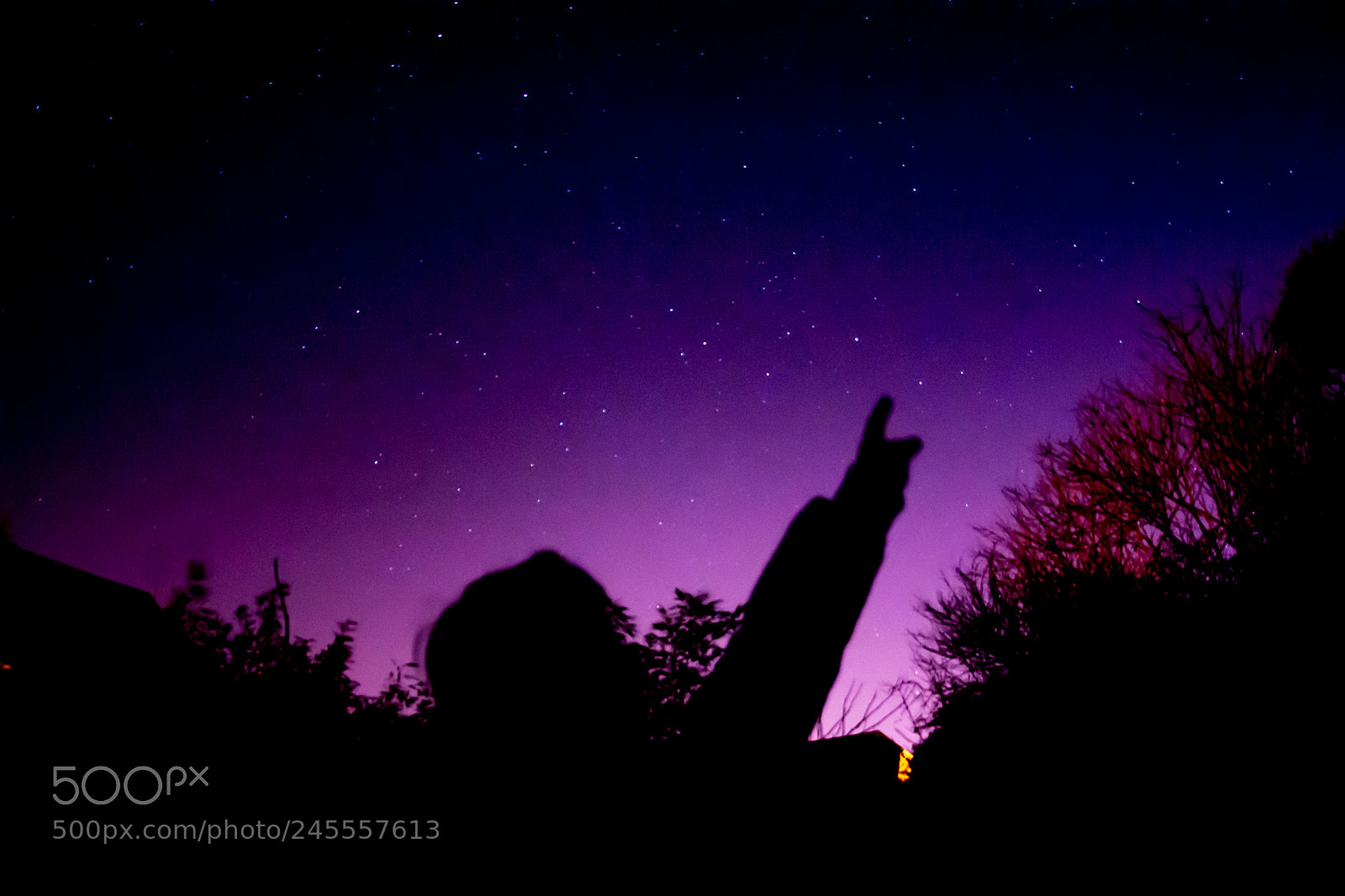 Nikon D7200 sample photo. Night sky silhouette photography