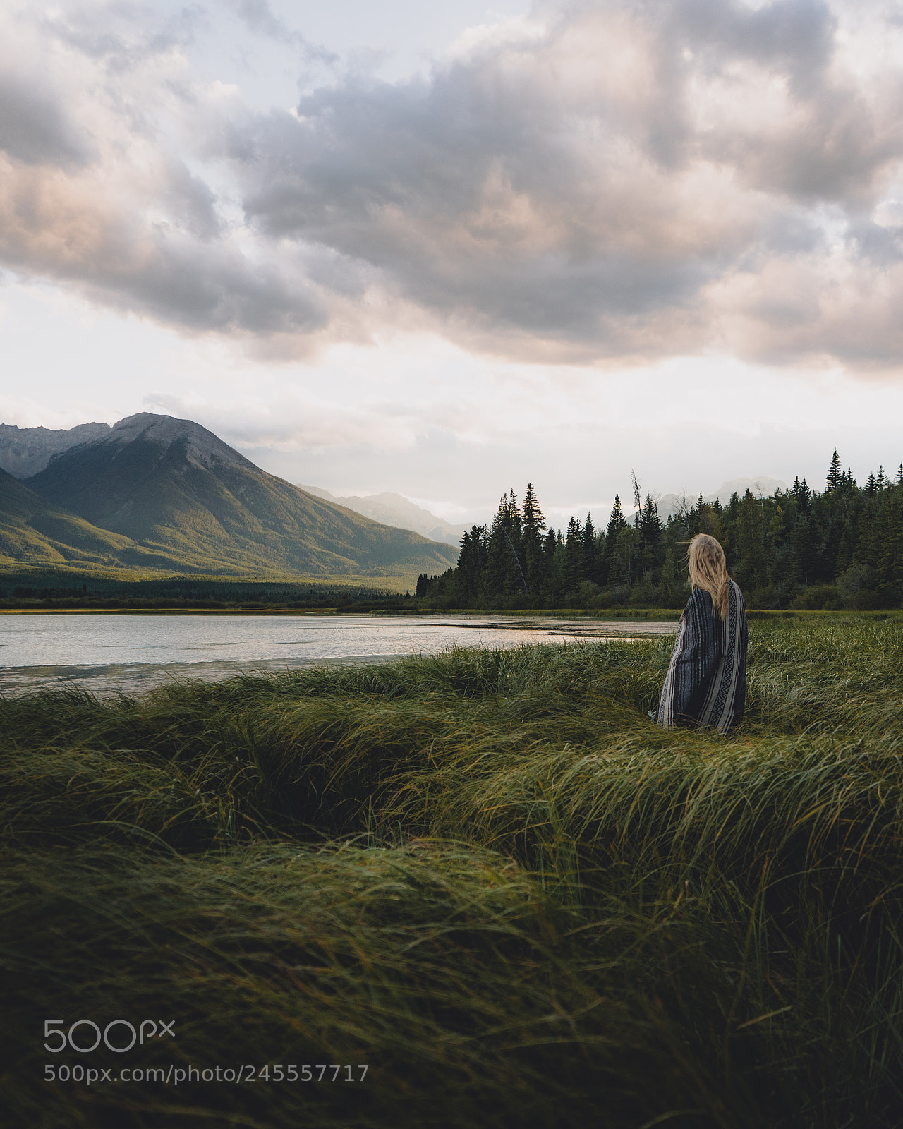 Sony a7 II sample photo. Field of dreams photography