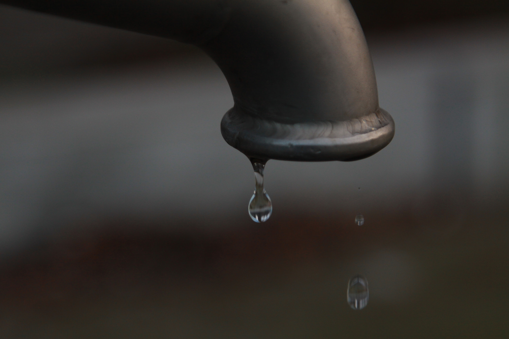 Canon EOS 50D + Canon EF 24-105mm F4L IS USM sample photo. Img photography