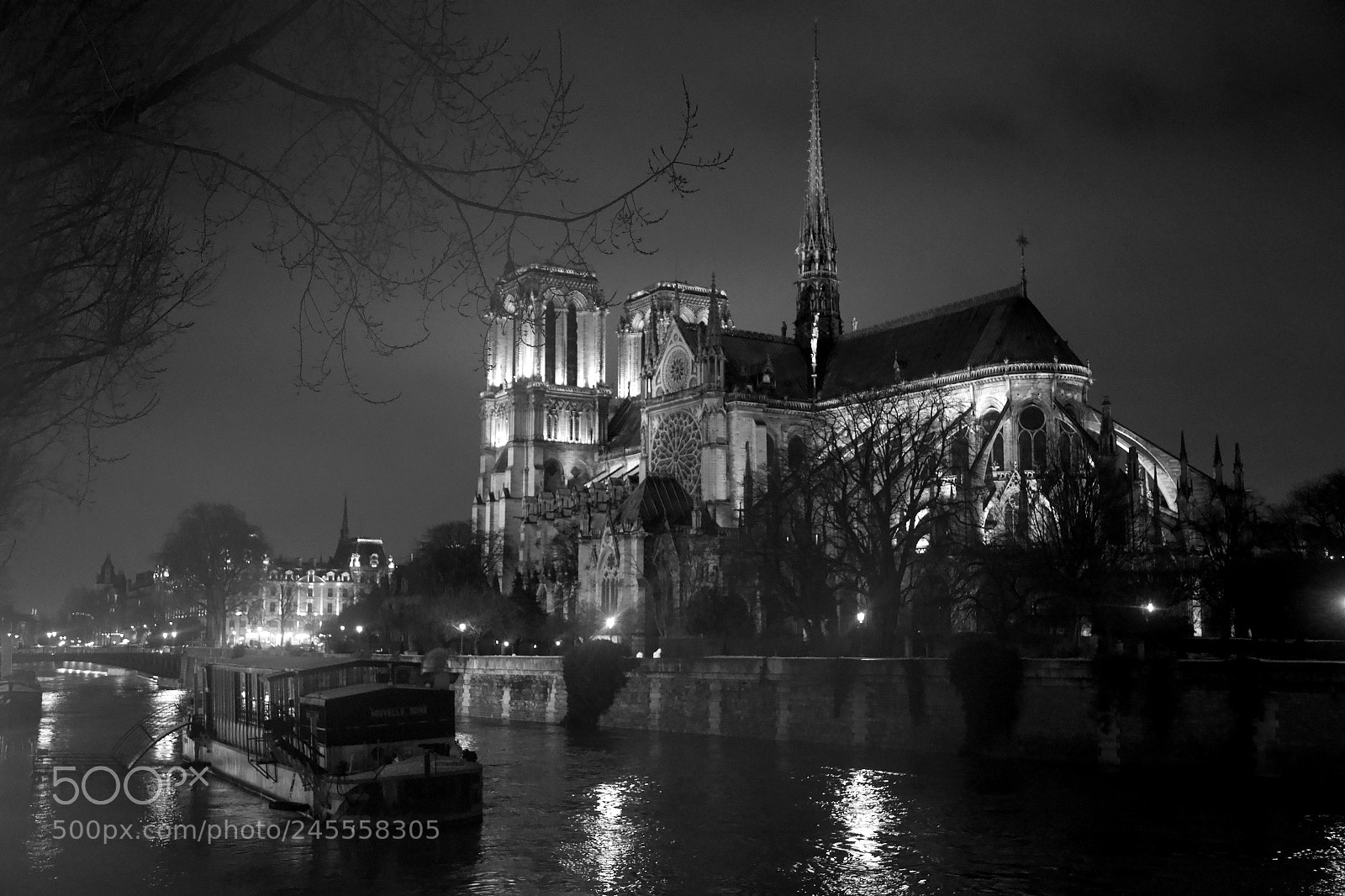 Canon EOS 6D + Canon EF 24-105mm F4L IS USM sample photo. Notredame photography