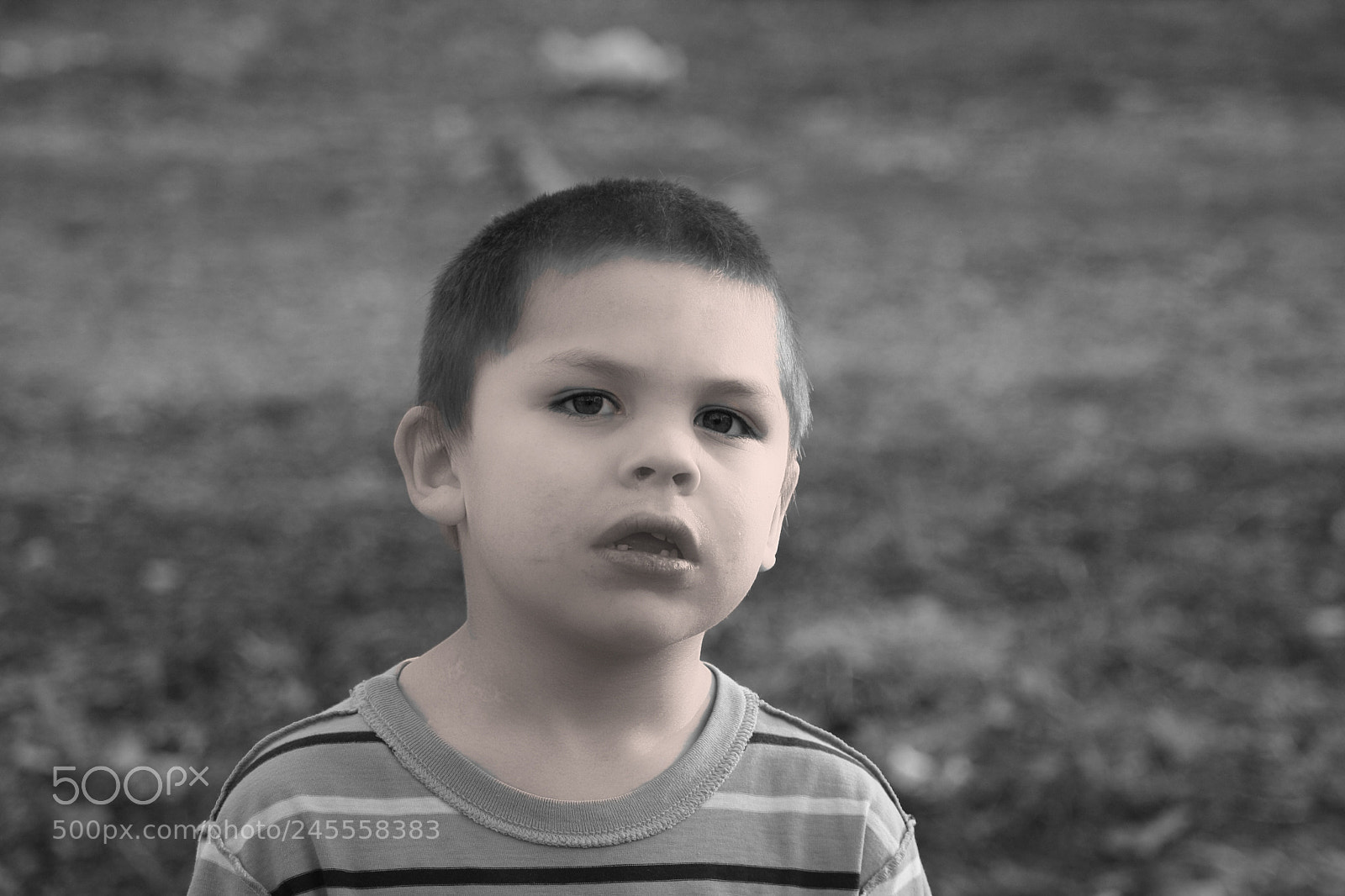 Canon EOS 1000D (EOS Digital Rebel XS / EOS Kiss F) sample photo. Dom photography