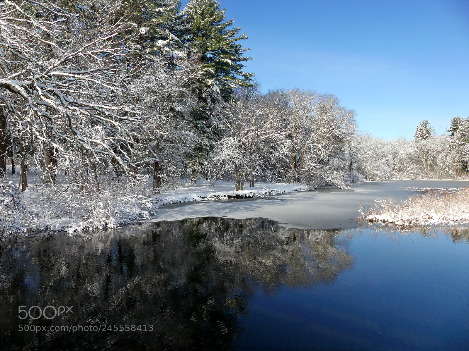 Panasonic Lumix DMC-FZ300 sample photo. We still have winter photography