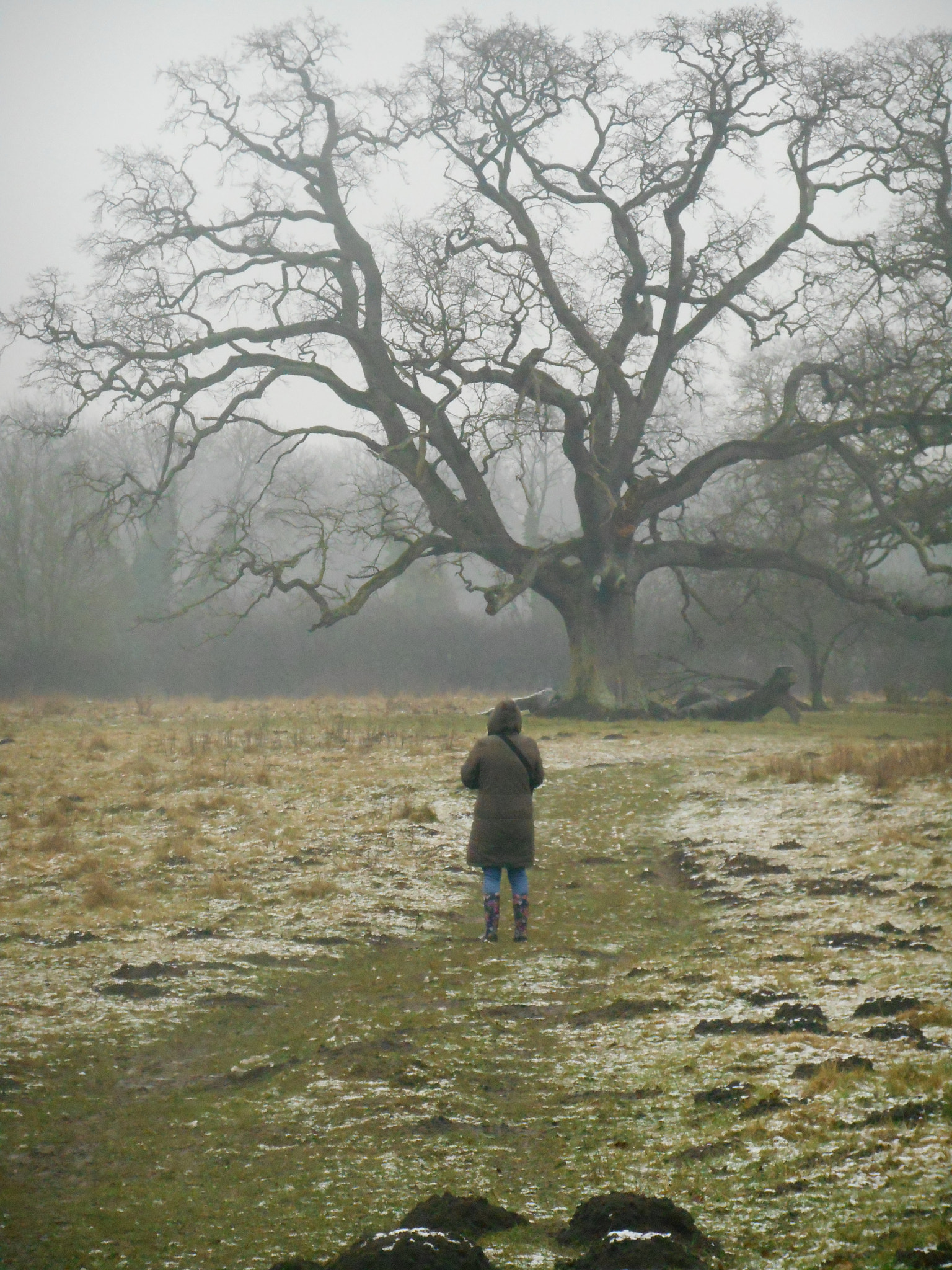 Nikon COOLPIX S3400 sample photo. Winter landscape with woman, tree, and molehills photography