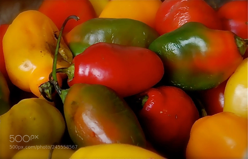 Nikon D40 sample photo. Morning in cuzco photography