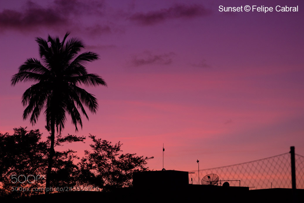 Canon EOS 600D (Rebel EOS T3i / EOS Kiss X5) sample photo. Sunset photography