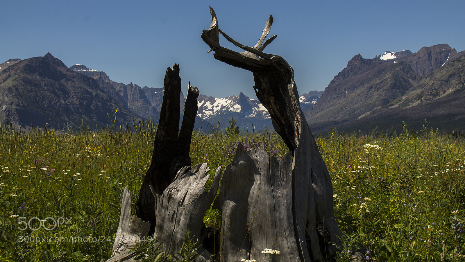 Canon EOS 1100D (EOS Rebel T3 / EOS Kiss X50) sample photo. Framing mountains and wood photography