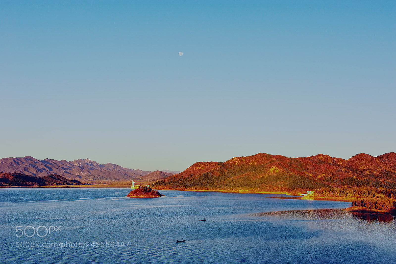 Nikon D700 sample photo. Autumn moon photography