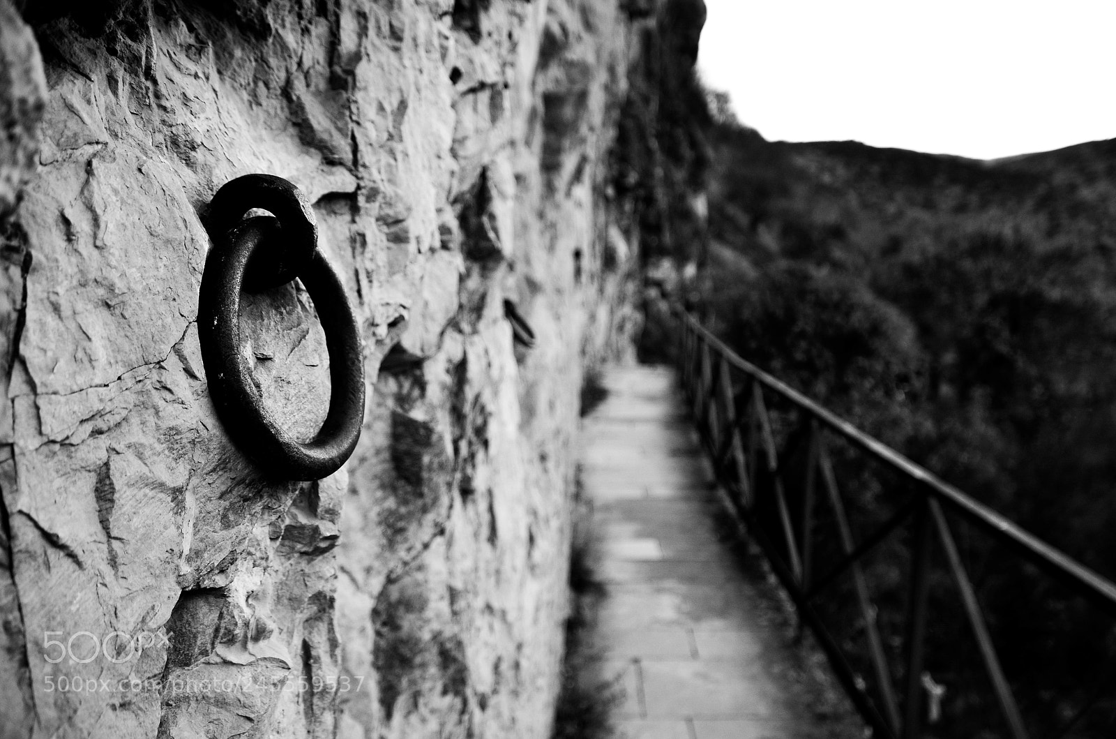 Nikon D5100 sample photo. Agarrate photography
