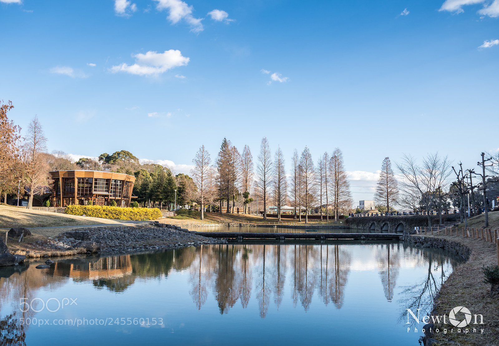 Nikon D7200 sample photo. Odai park, japan photography