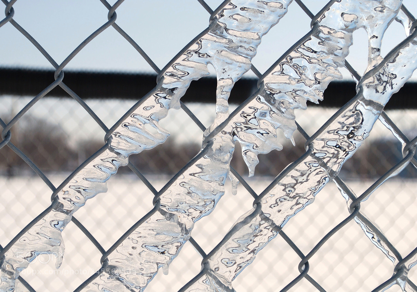 Nikon D60 sample photo. Triple play... photography