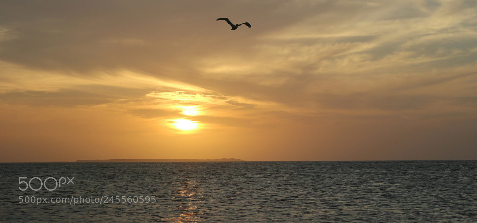 Canon EOS 100D (EOS Rebel SL1 / EOS Kiss X7) sample photo. Flying with the sun photography
