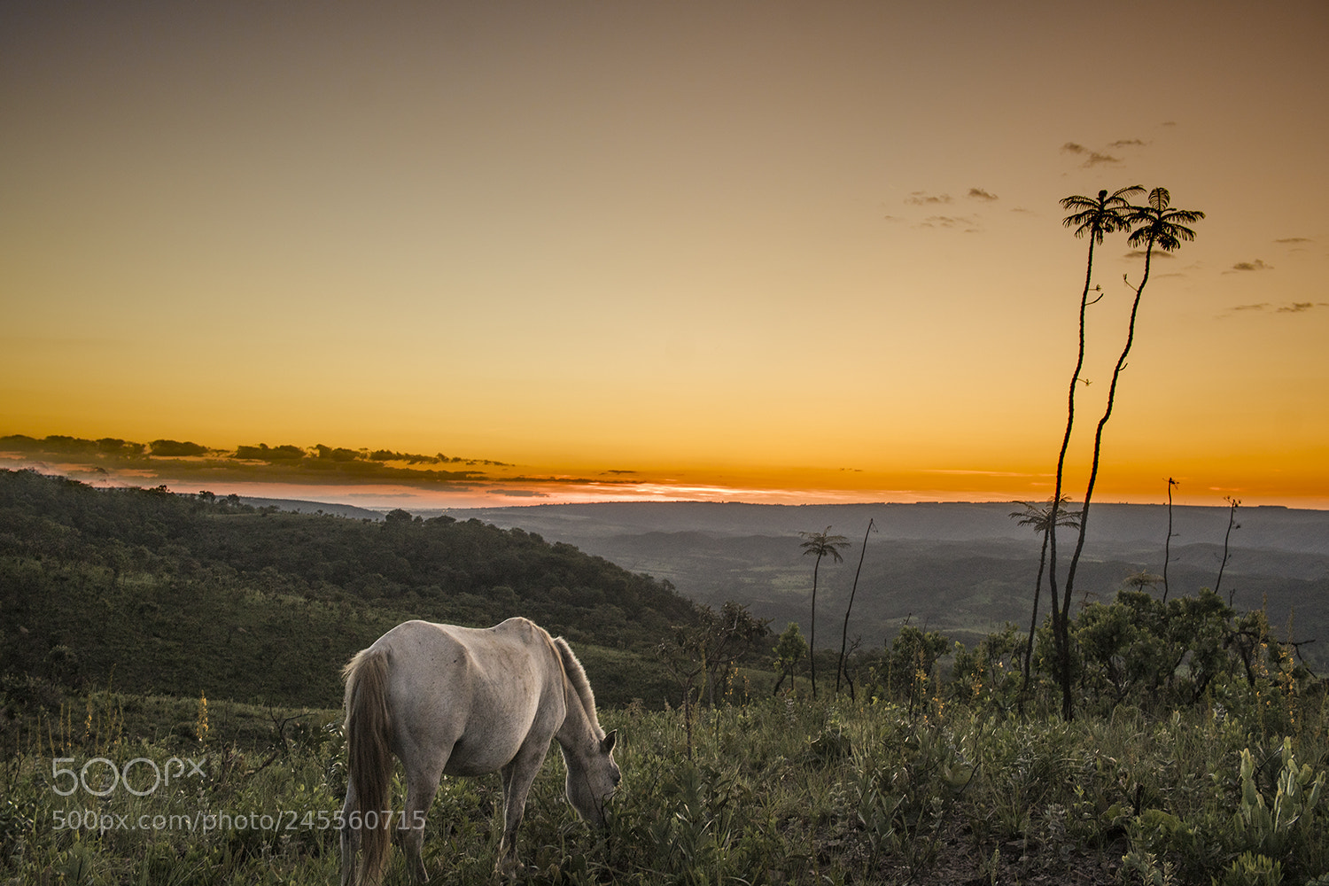 Sony a6300 sample photo. Chapada photography