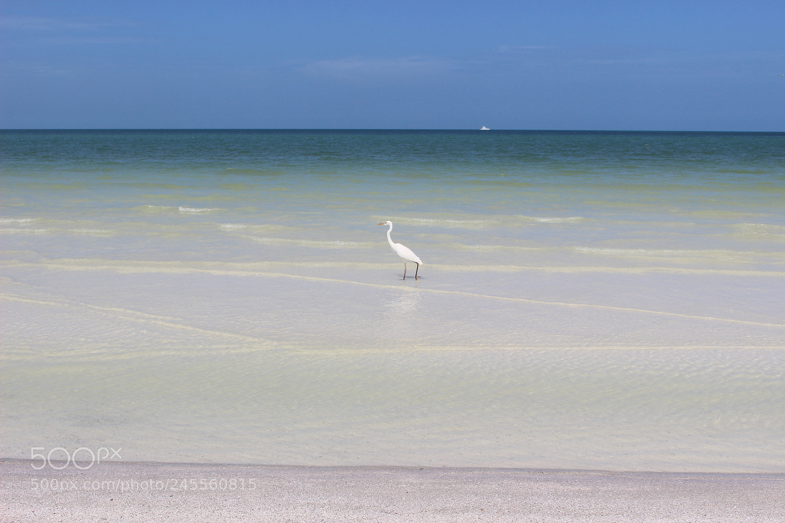 Canon EOS 100D (EOS Rebel SL1 / EOS Kiss X7) sample photo. Paradisiac fisher photography