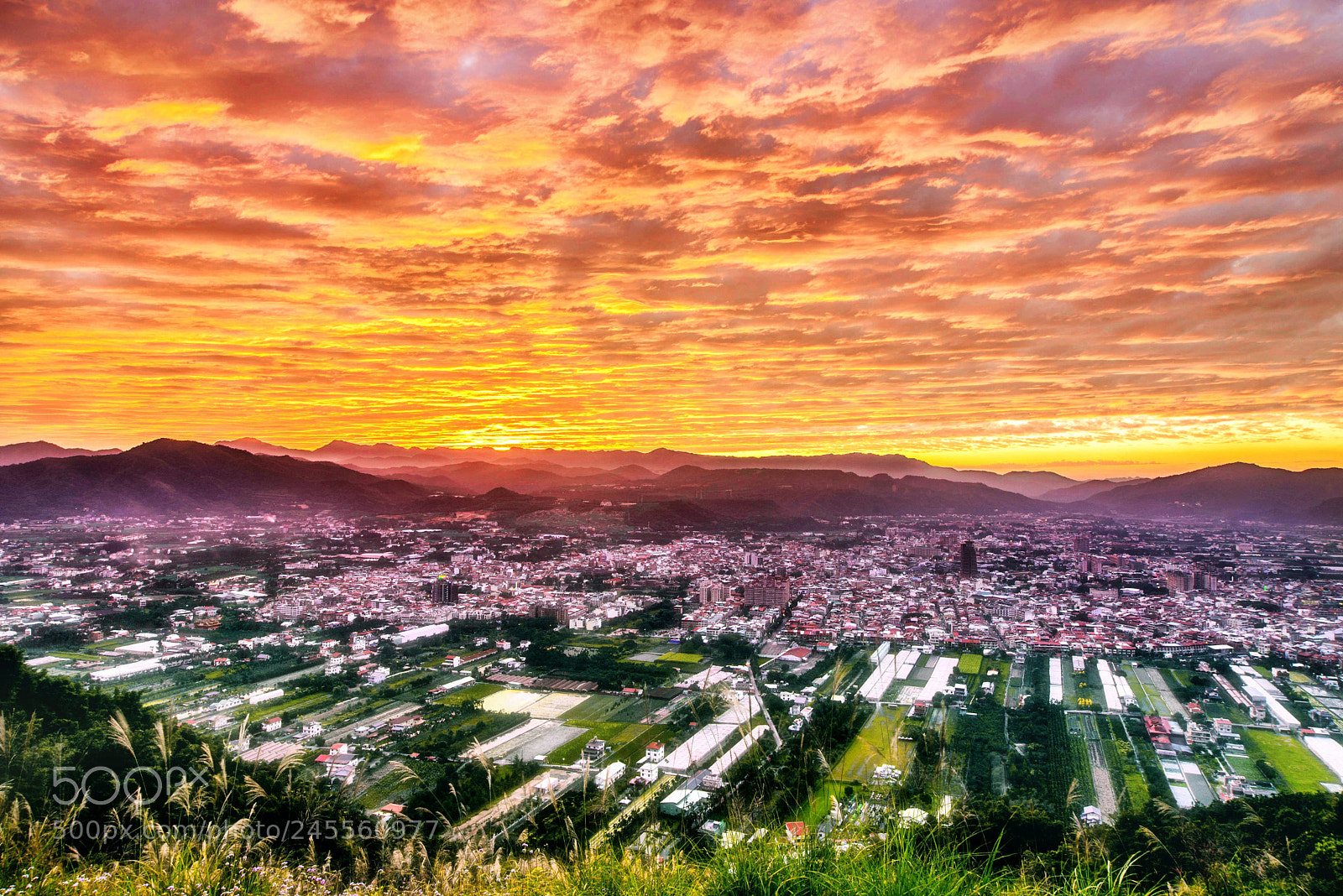 Nikon D610 sample photo. Taiwan nantou county puli photography