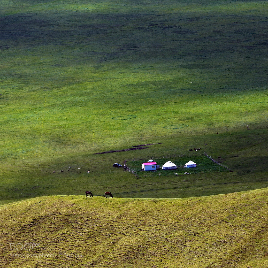 Canon EOS-1D X sample photo. Little house on the photography