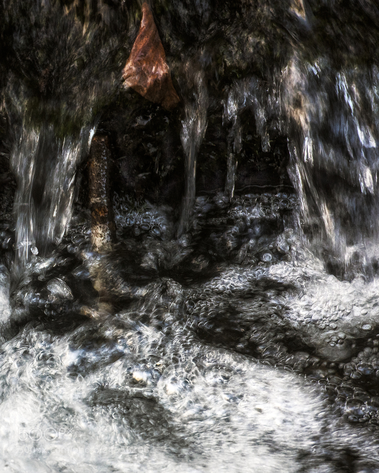 Nikon D810 sample photo. The beauty is in photography