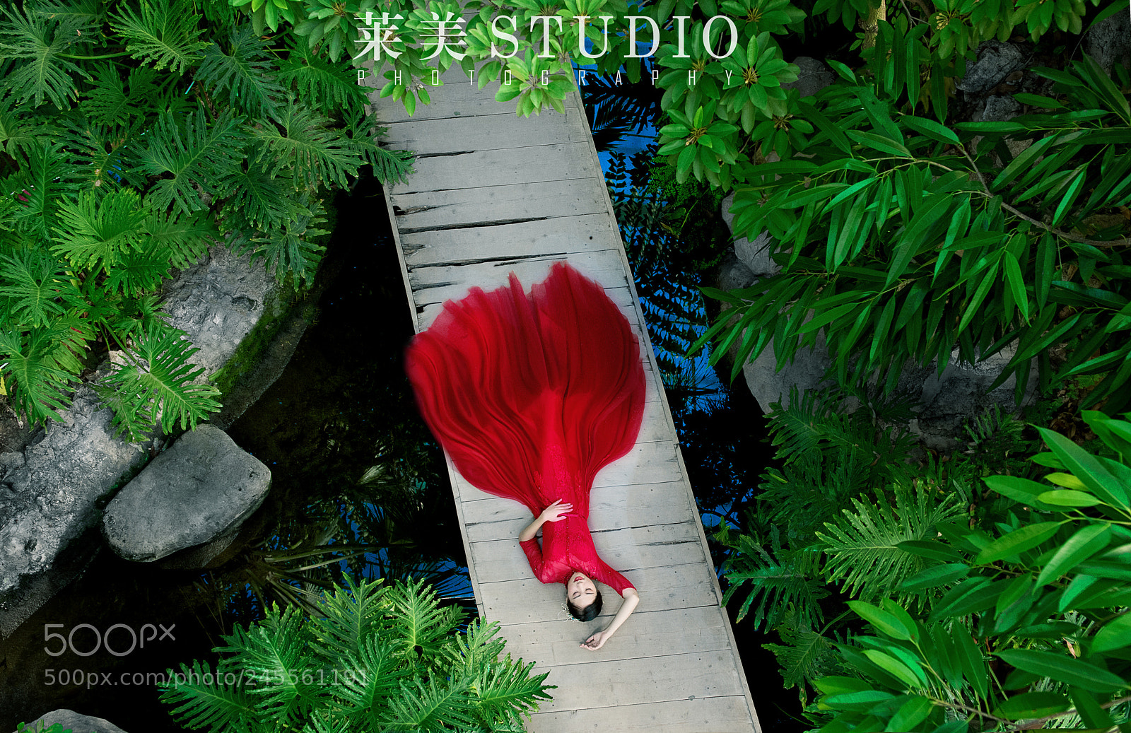 Nikon D810 sample photo. Untitled photography