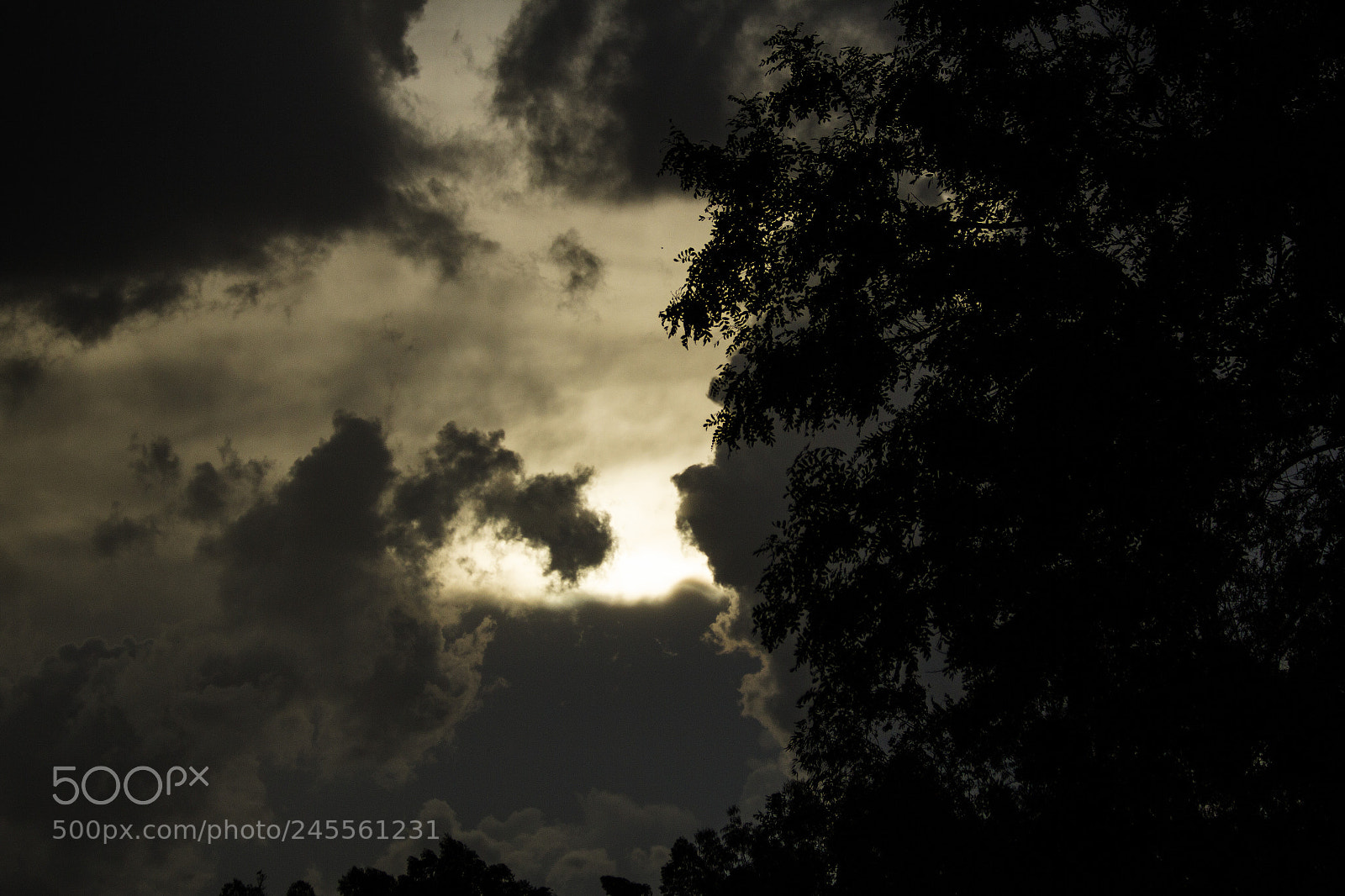 Canon EOS 60D sample photo. Img photography