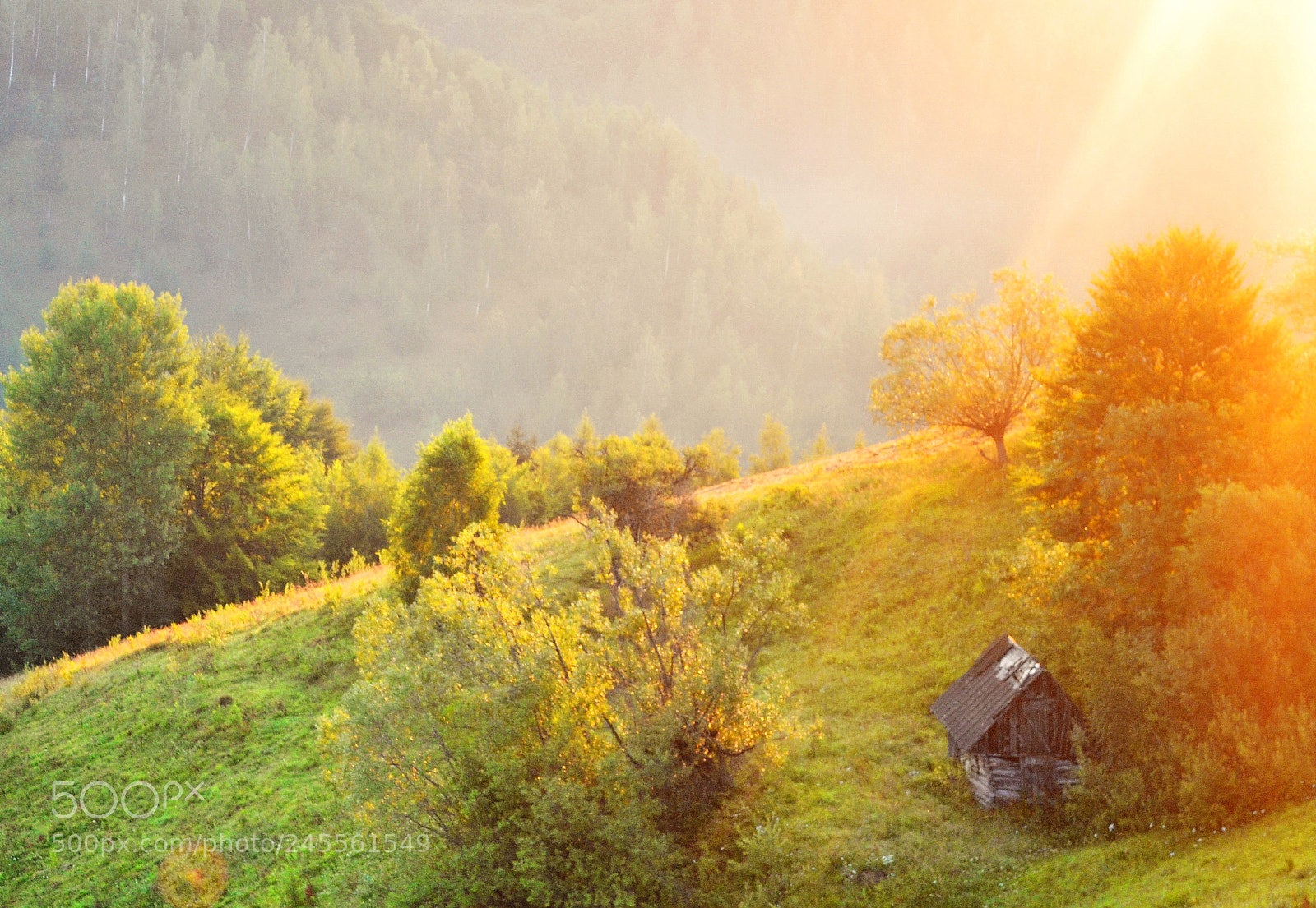 Nikon D3100 sample photo. Morning light photography