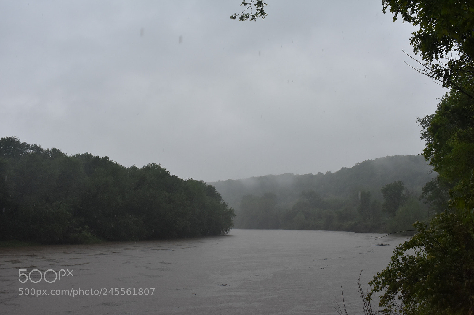 Nikon D3400 sample photo. Misty river morning photography