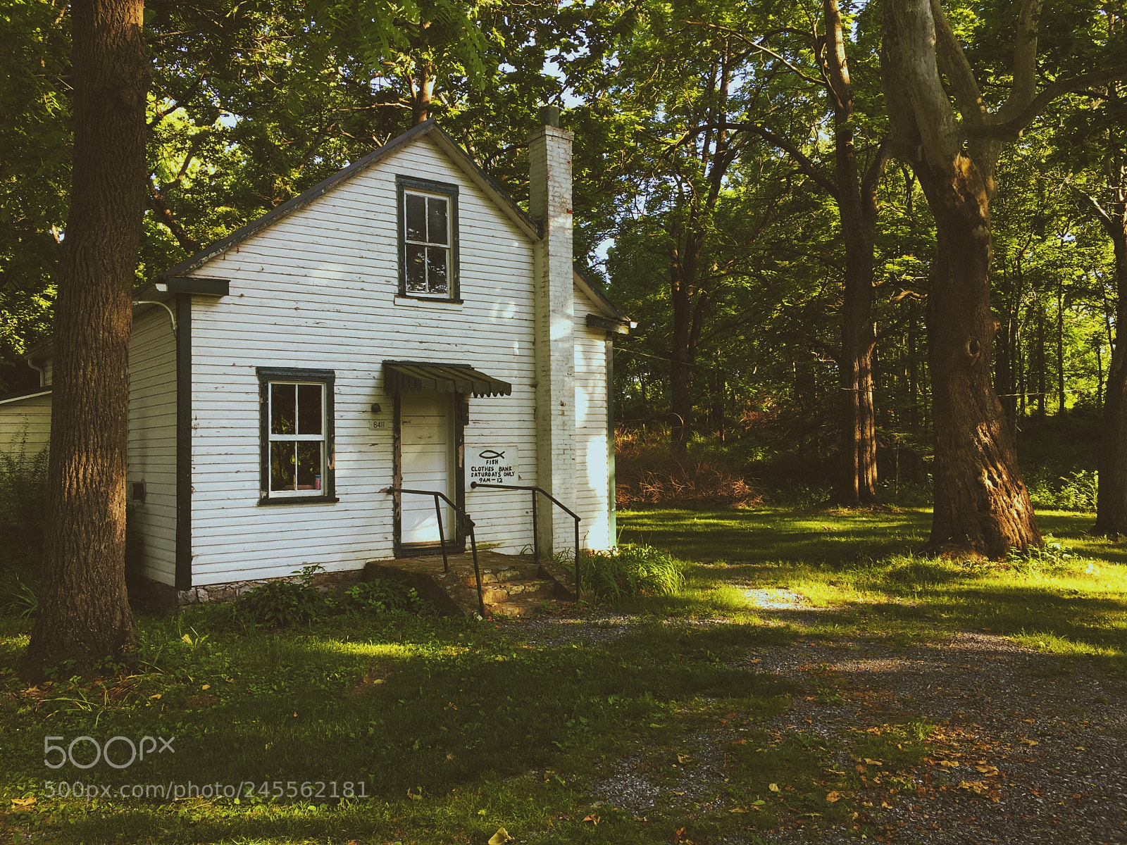 Apple iPhone 6s sample photo. Church in the trees photography