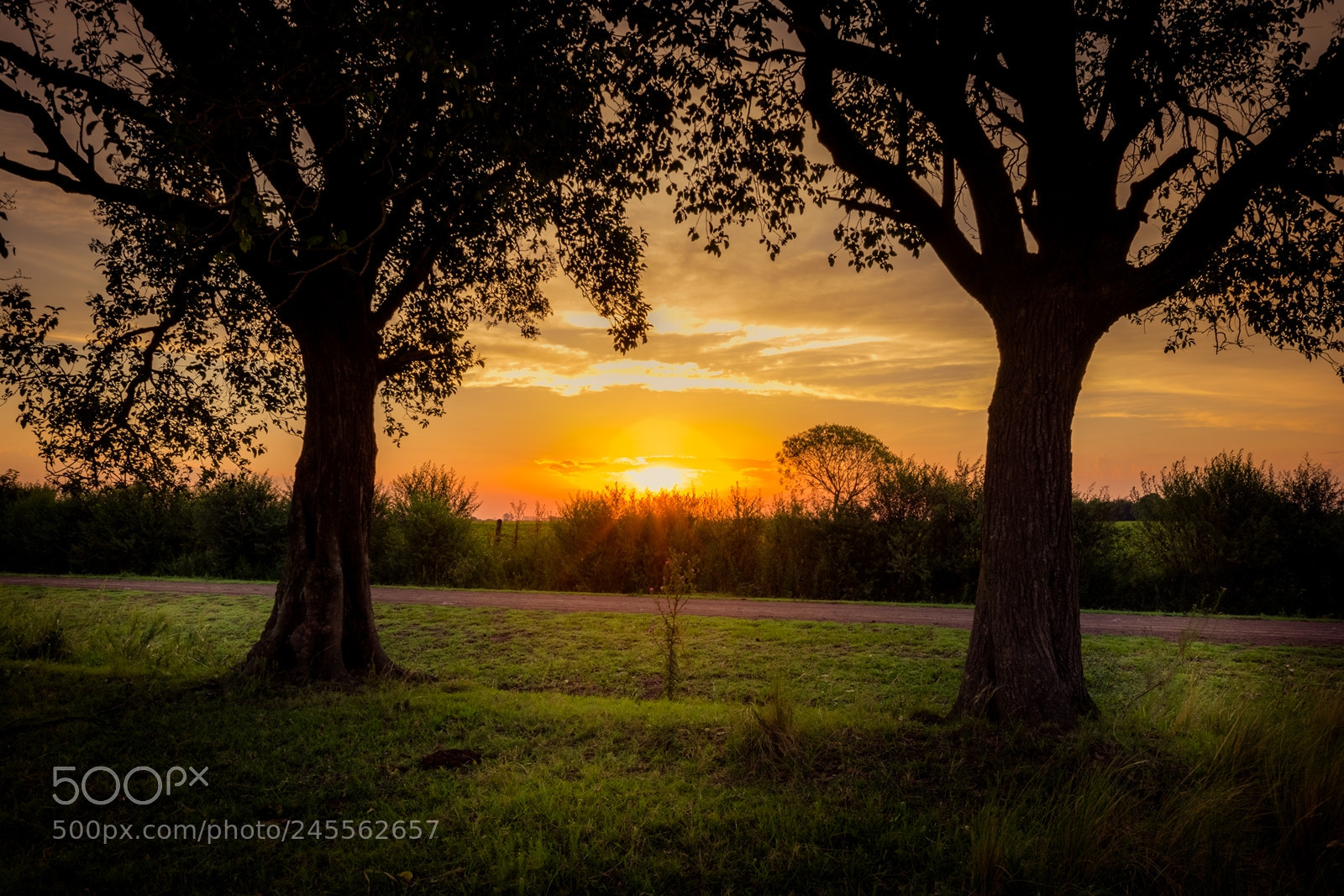 Nikon D7100 sample photo. Atardecer ? photography