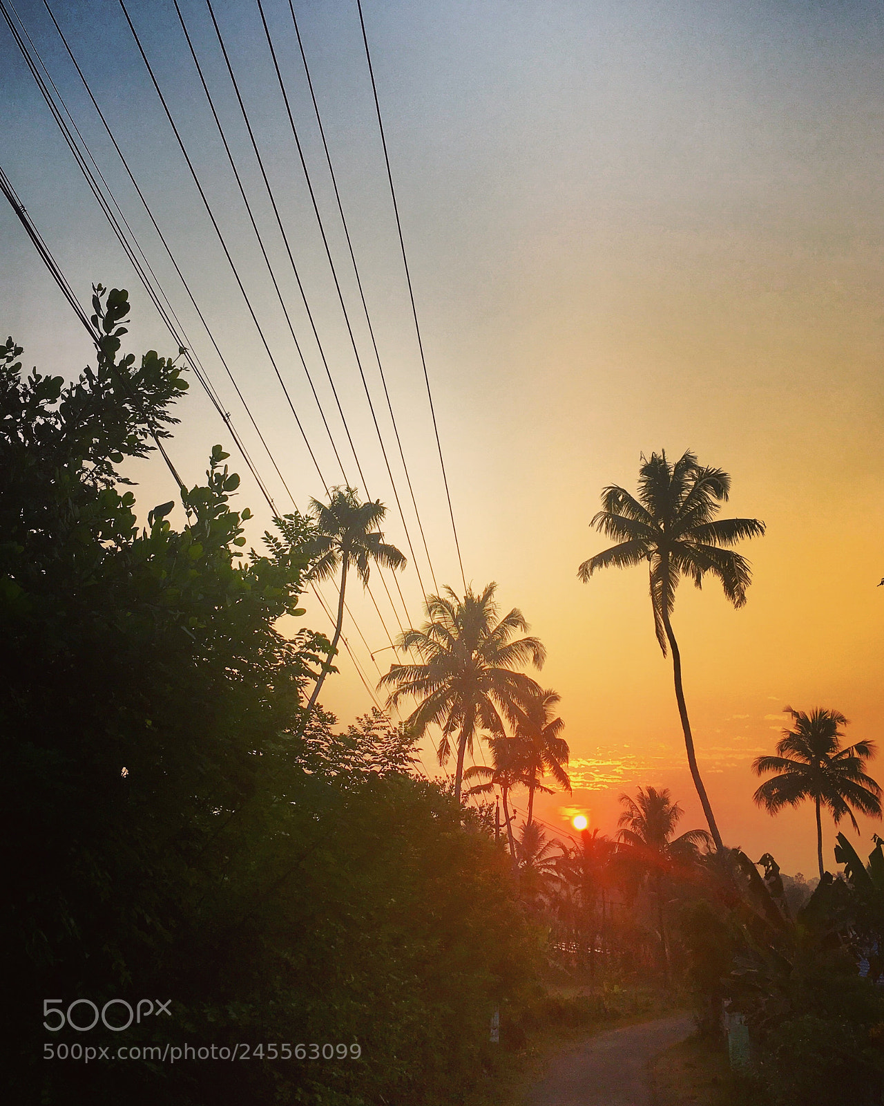 Apple iPhone 6s Plus sample photo. Morning inspiration photography