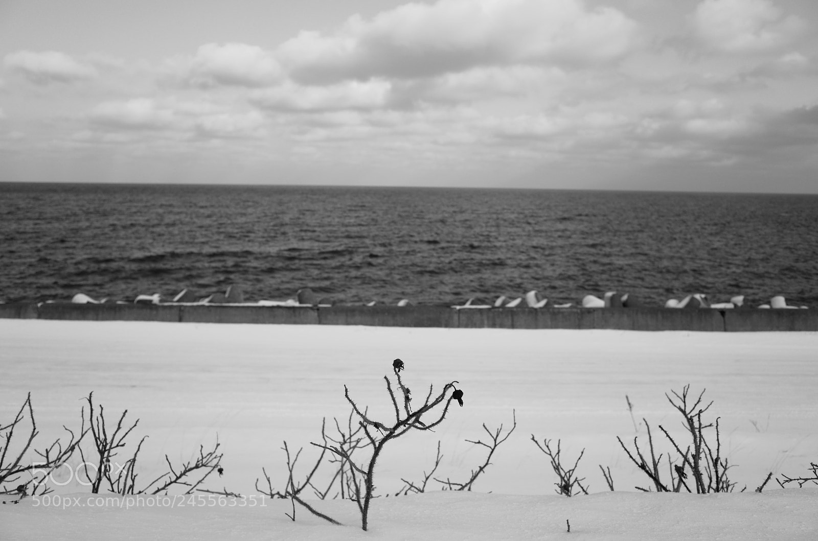 Ricoh GR sample photo. Untitled photography