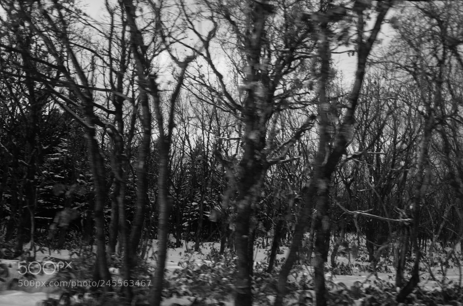 Ricoh GR sample photo. Untitled photography