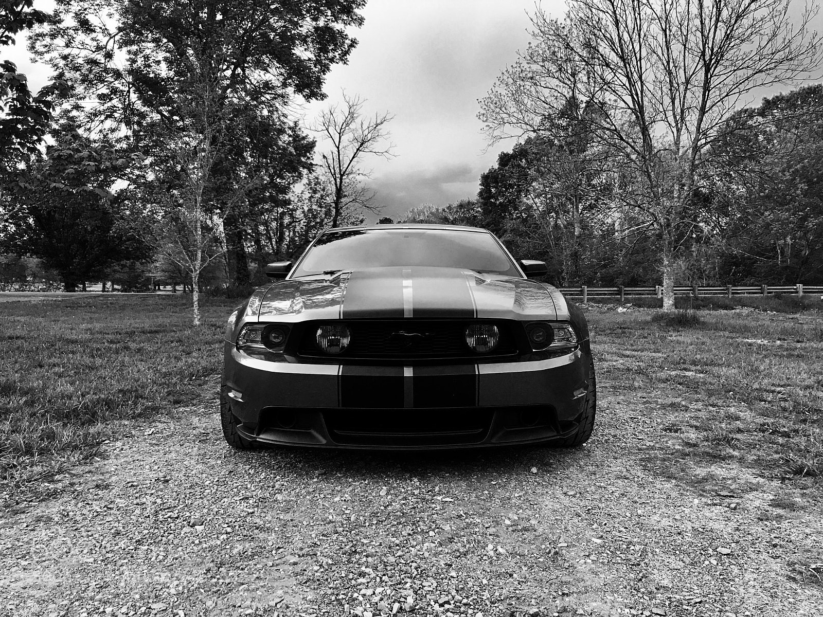 Apple iPhone 7 Plus sample photo. 2010 mustang gt photography