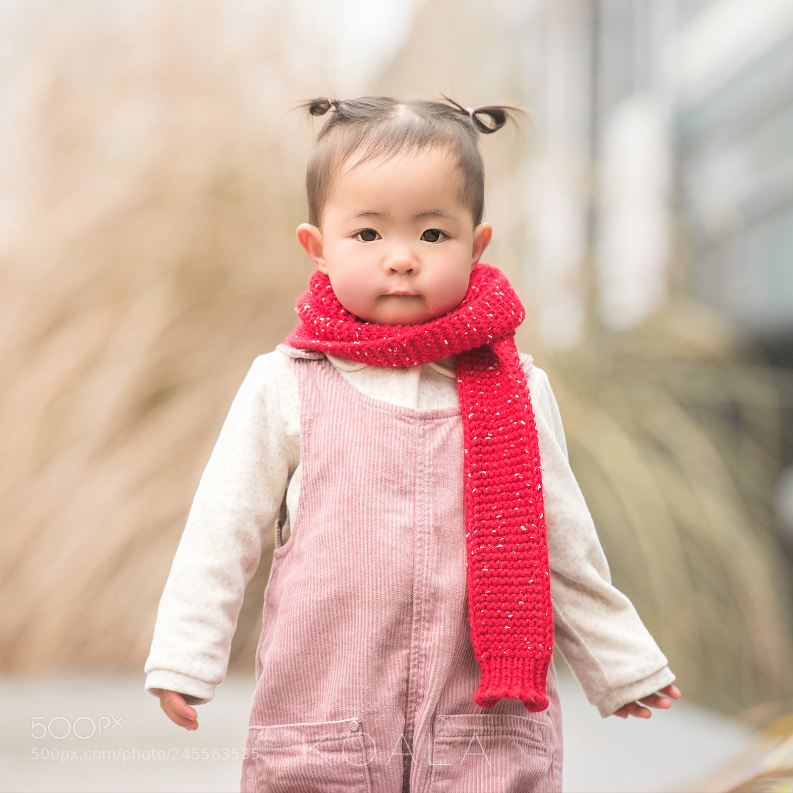 Nikon D810 sample photo. 小可爱 photography