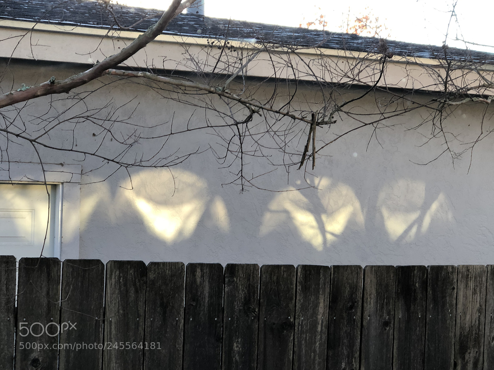 Apple iPhone 8 Plus sample photo. Morning shadows photography