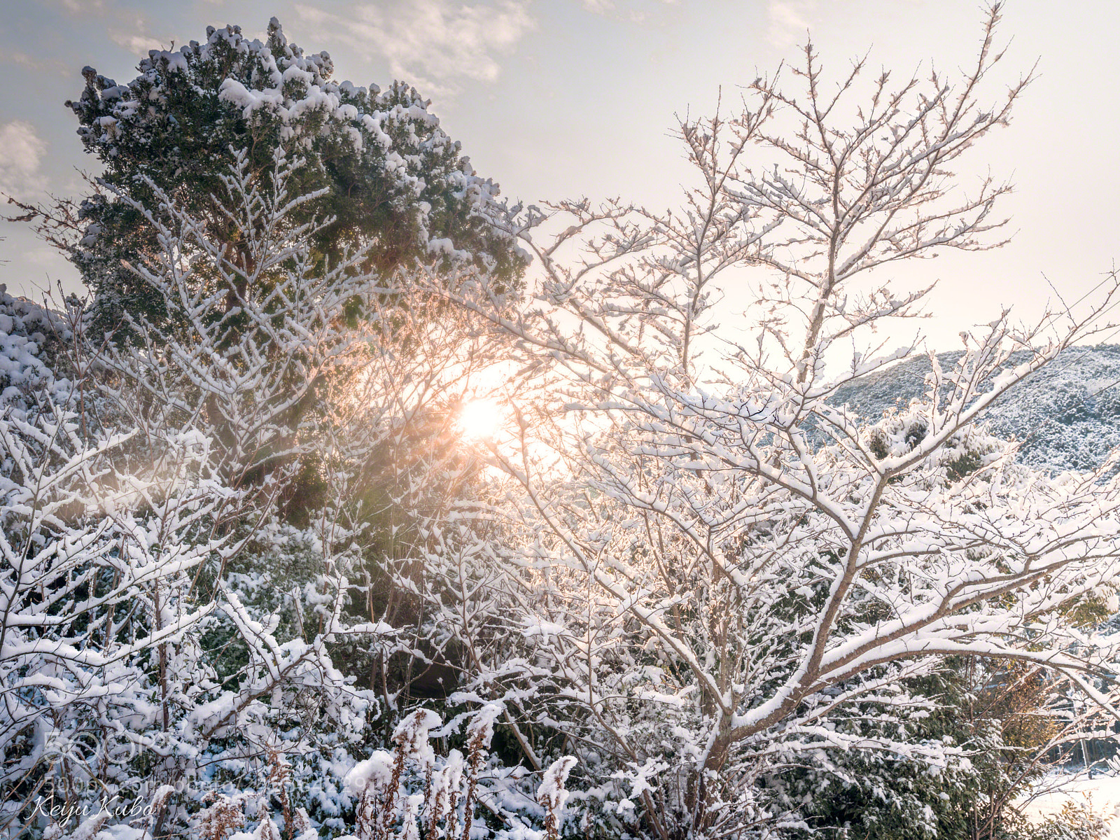 Sony a7R III sample photo. Morning sunlight on snowy photography